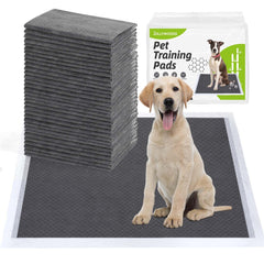 Tapis-pipi Jollywoods 18x24, absorption rapide et protection anti-fuite.