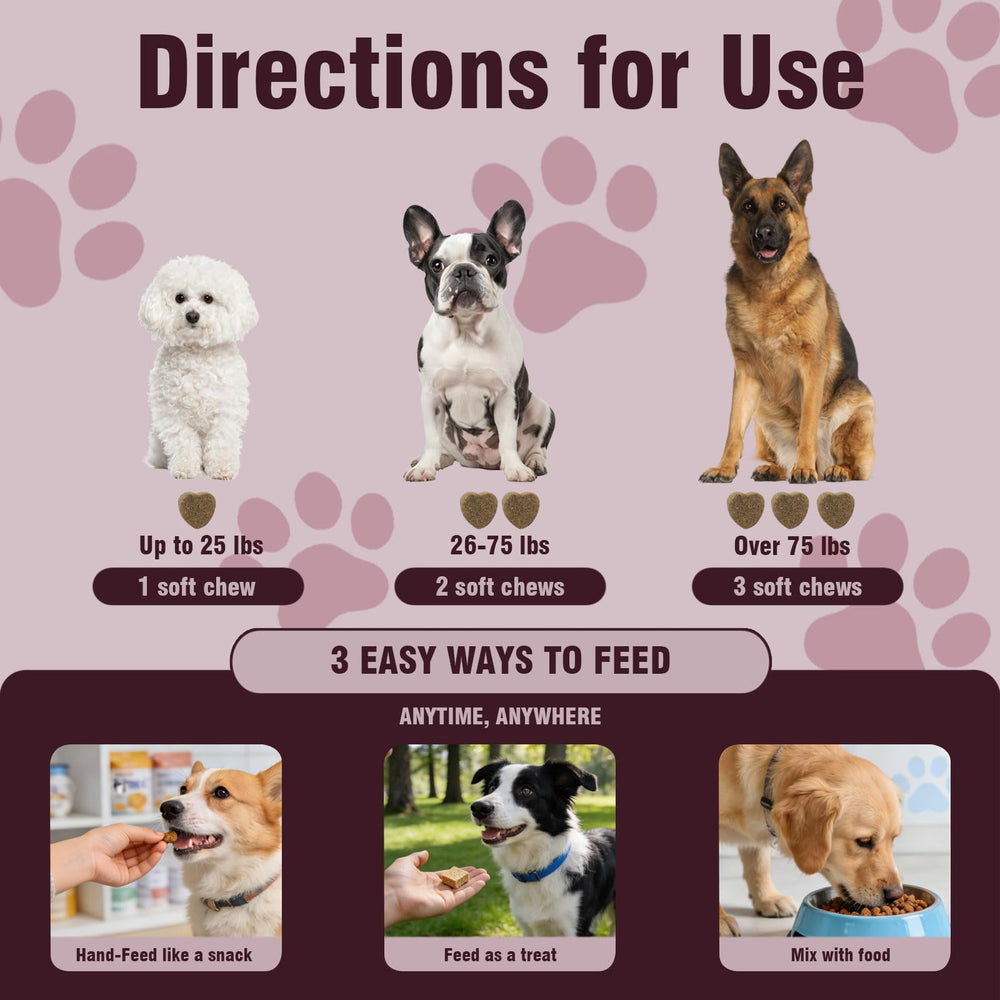 Jomielerr friandises apaisantes pour chiens, face à des feux d'artifice.