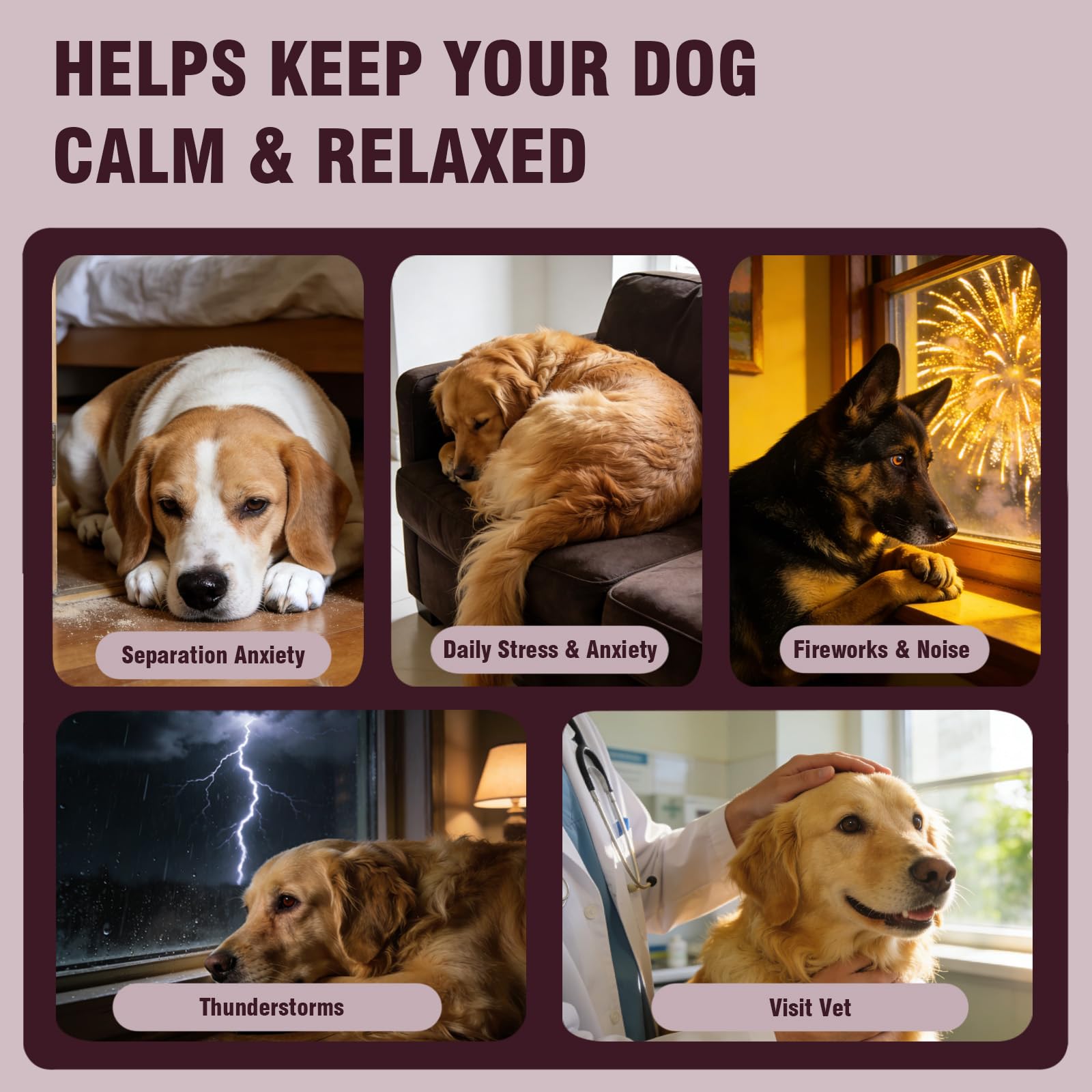Jomielerr friandises apaisantes pour chiens, sachet saveur poulet, stimule l'appétit.