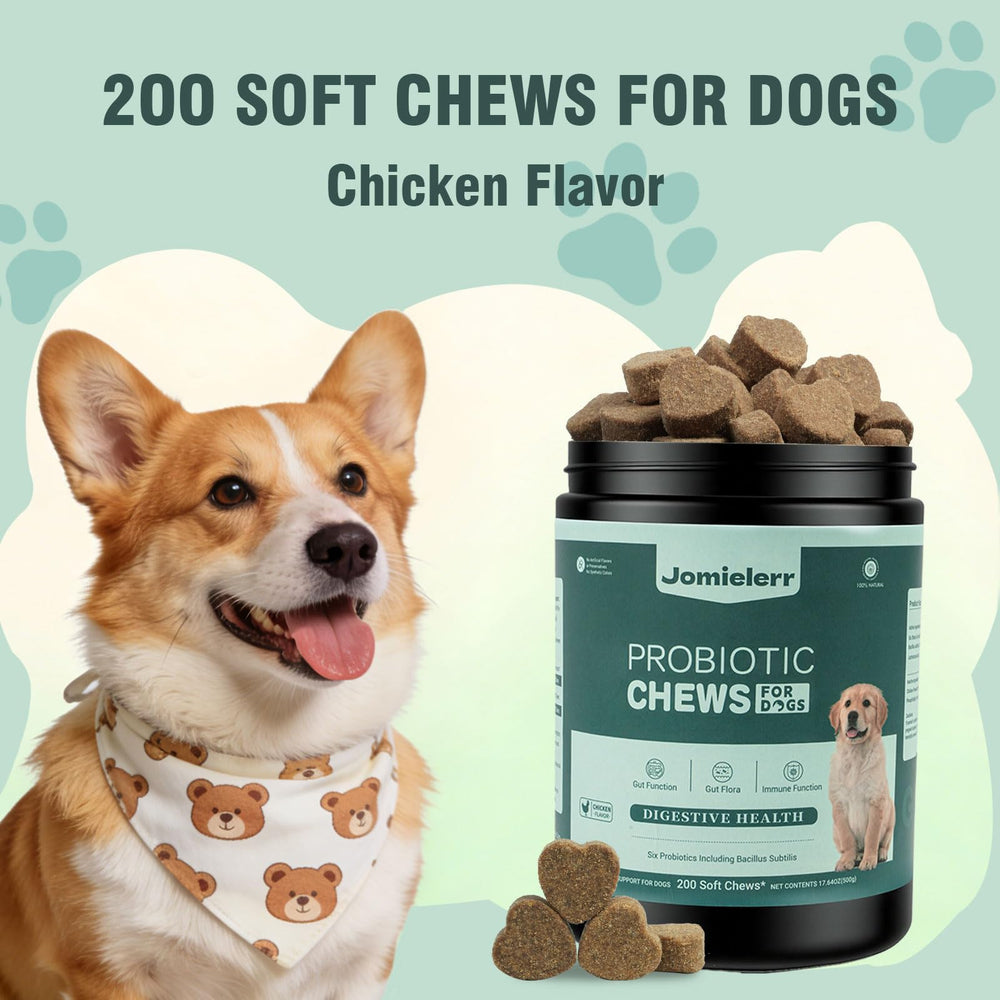 Soutien digestif potentiel avec Jomielerr – chien détendu après le repas.