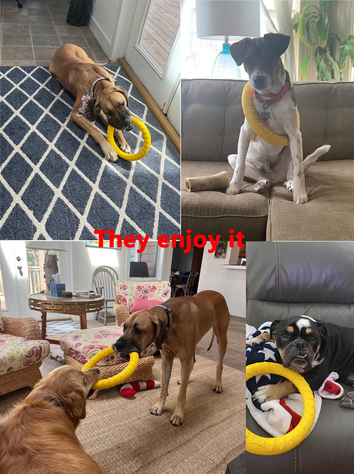JONGLYEE anneau-chien tirage et capture pour jeux interactifs.