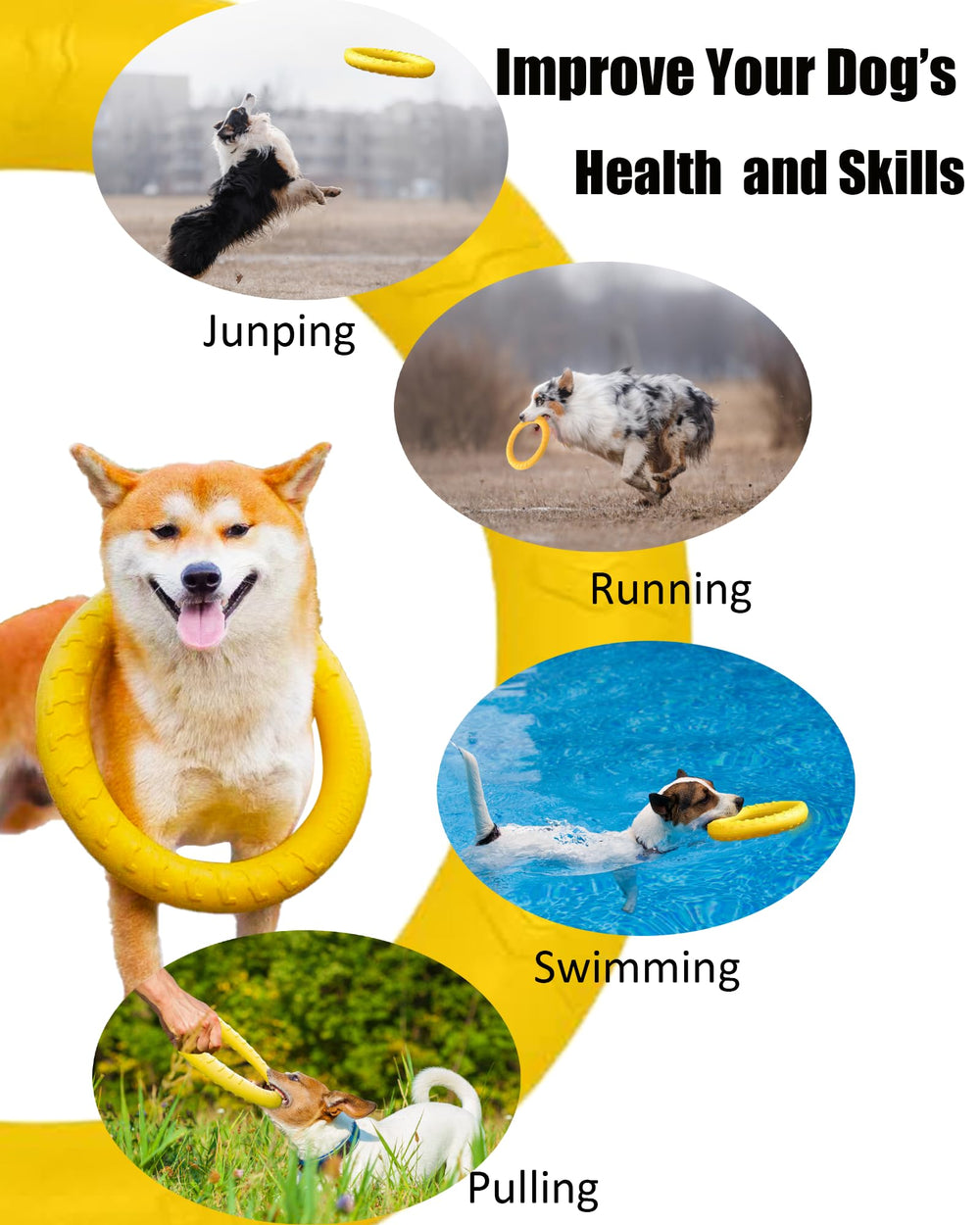 JONGLYEE jouet-chien couleurs brillantes facilitant la traque.