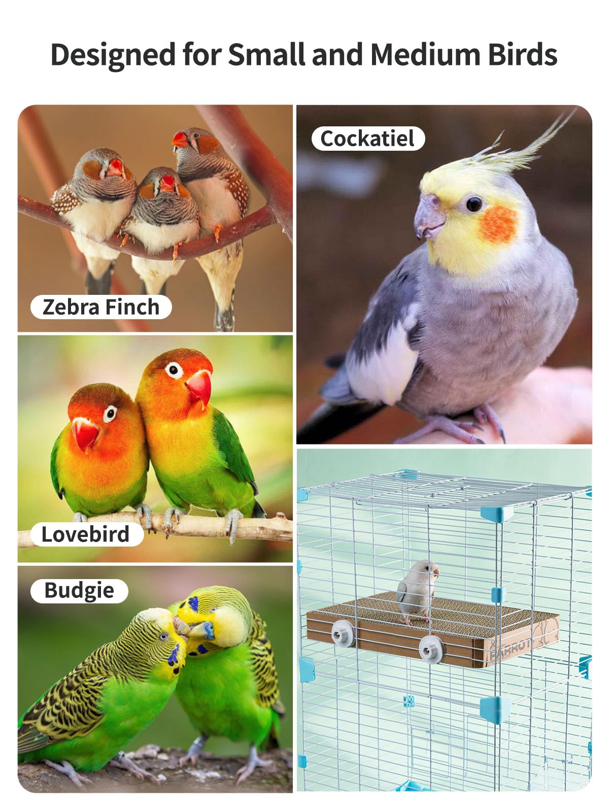 JONS NTY - cadeau idéal pour amis des oiseaux.