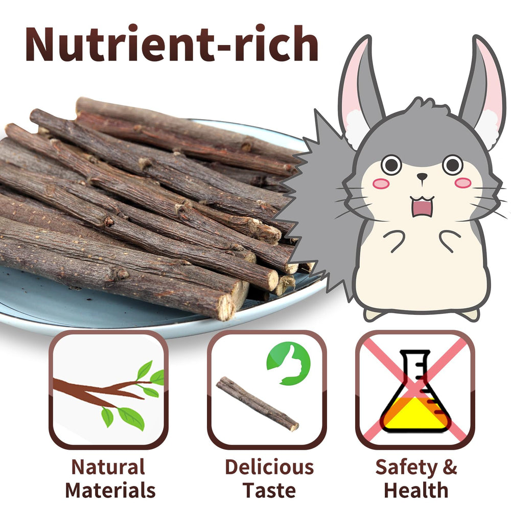 Lapin mâchant les bâtons JONS NTY, expérience naturelle et apaisante.
