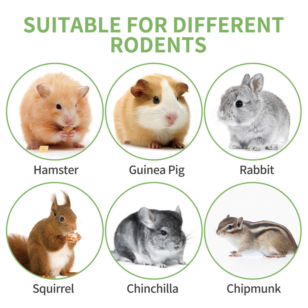 JONS NTY accessoire mordillage sûr pour rongeurs et petits animaux.