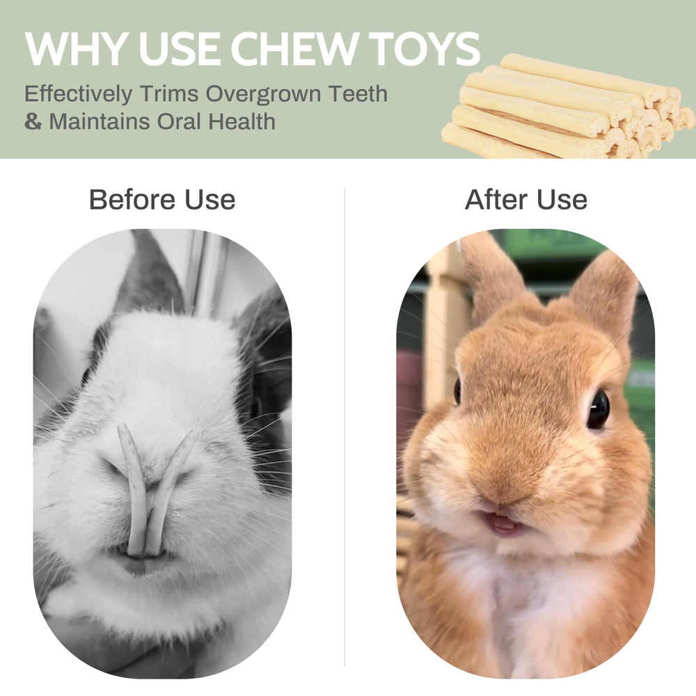 JONS NTY jouet interactif pour lapin, stimule curiosité et développement mental.