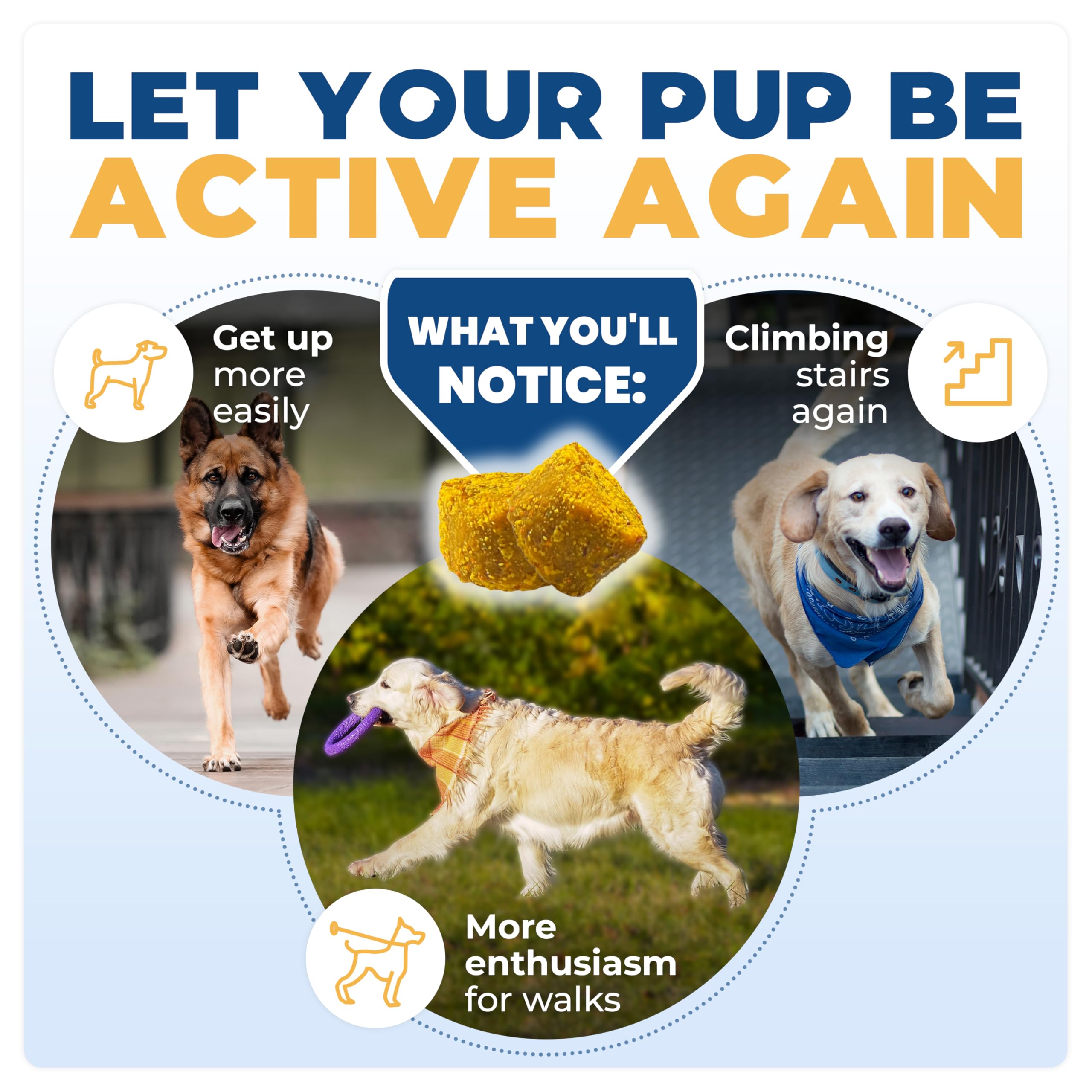 Gommes Jope, bouchées savoureuses pour soutenir les articulations des chiens.
