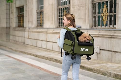 JoPet sac voyage chats, mobilité douce pour les petits félins.