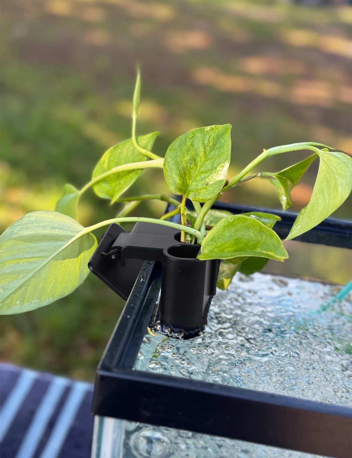 joqepy accessoire polyvalent pour aquarium et intérieur