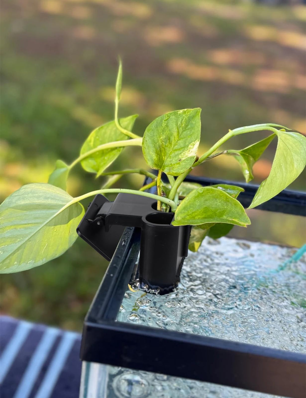 joqepy accessoire polyvalent pour aquarium et intérieur