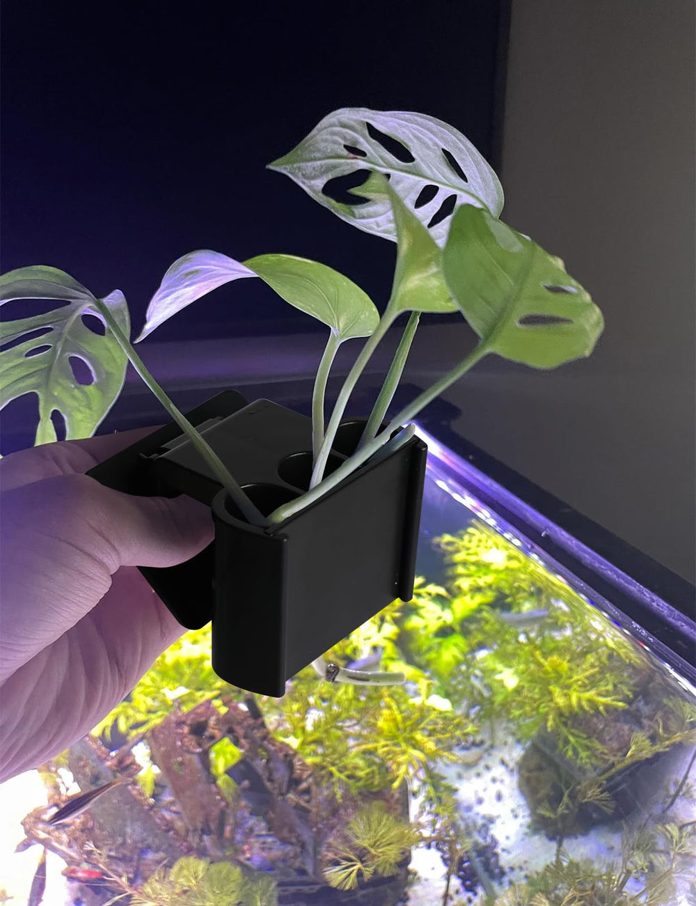 joqepy cadeau idéal pour amateurs d'aquarium passionnés