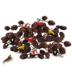 JOR Alder cones créent un habitat naturel pour betta et crevettes