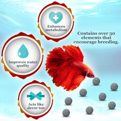 JOR Betta Balls favorisent couleurs et vitalité des bettas dans l'aquarium.