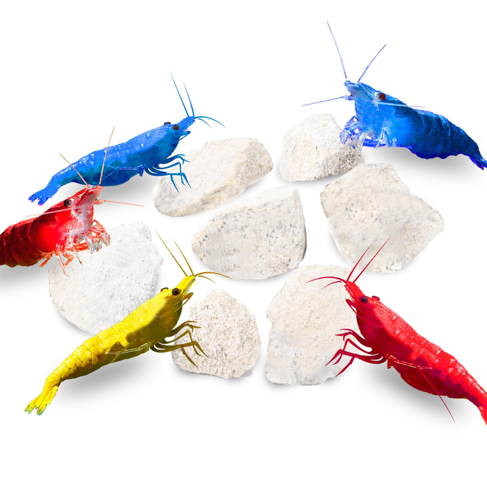 Pierre calcium JOR pour crabe ermite, refuge naturel et minéraux.