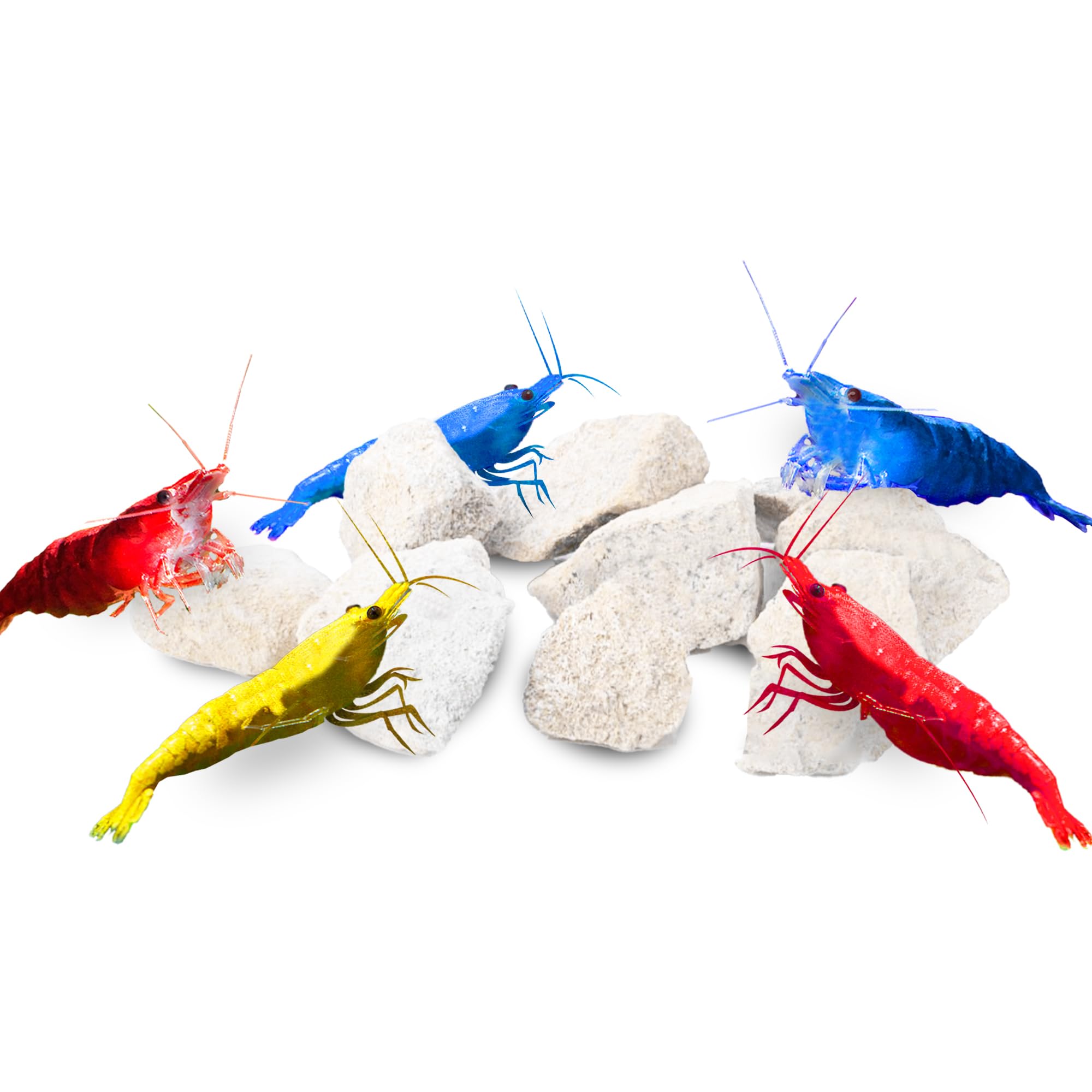 Pierre calcique JOR pour crevettes, couleur plus vive et cachette naturelle.