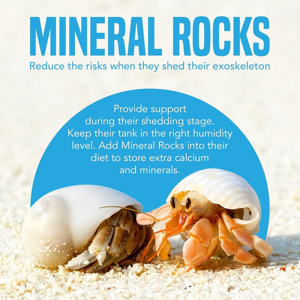 Pierre calcium JOR, source minérale utile pour terrarium et habitats marins.
