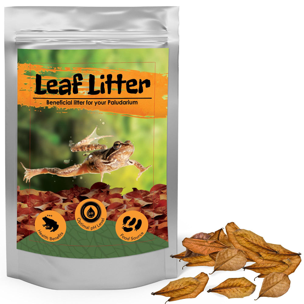 JOR substrat humide aide à maintenir l'humidité du terrarium pour reptiles et amphibiens.