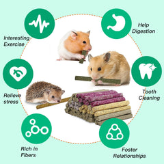 Bâtonnet Jorewood myosotis, distraction et exercice buccal