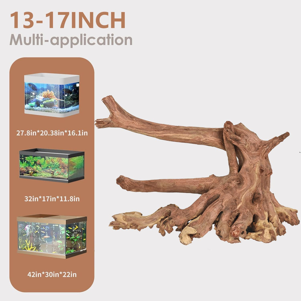 Jorewood bois flotté - texture poreuse ideale pour terrarium et paysages realistes.