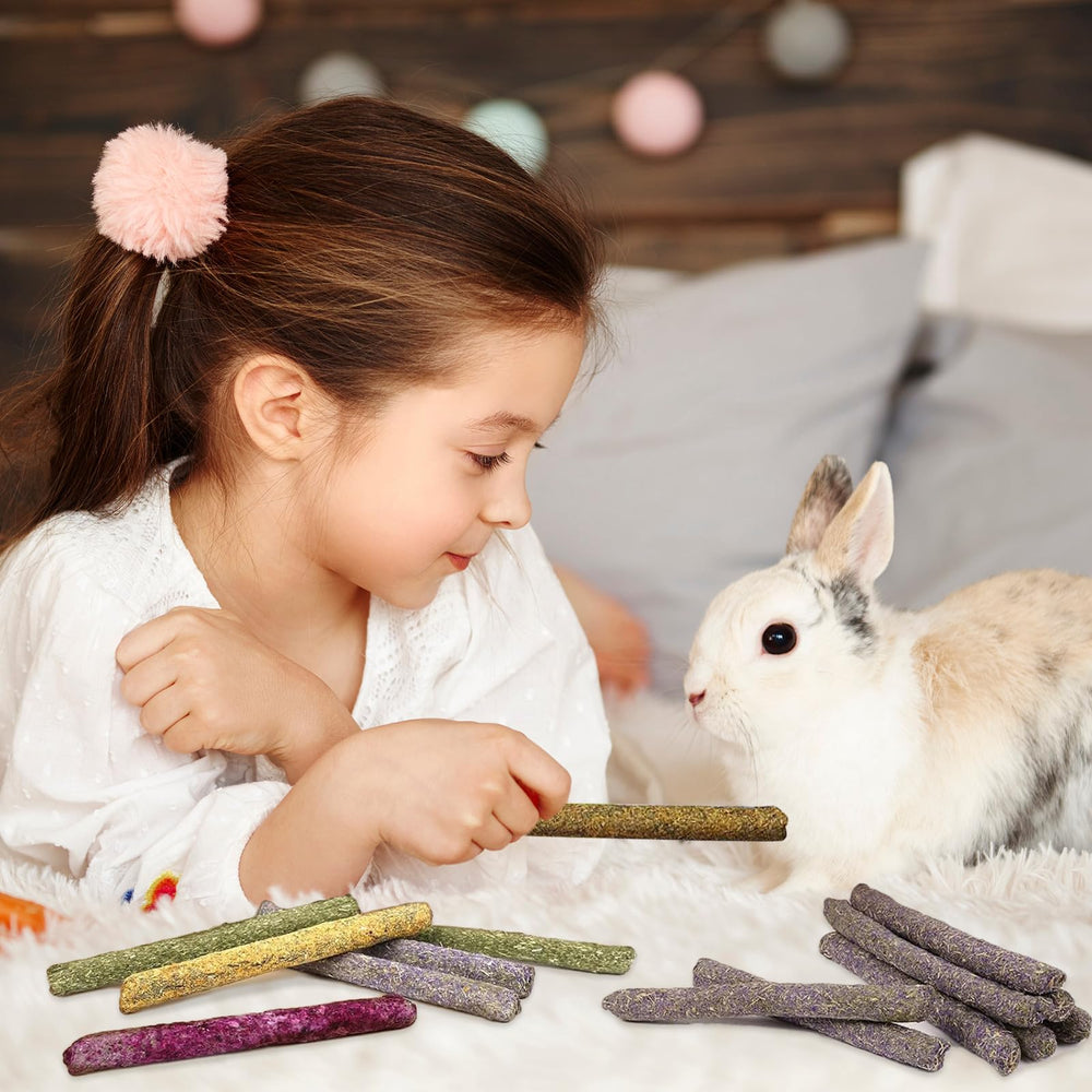 Cadeau idéal pour petits animaux, stimulant et divertissant