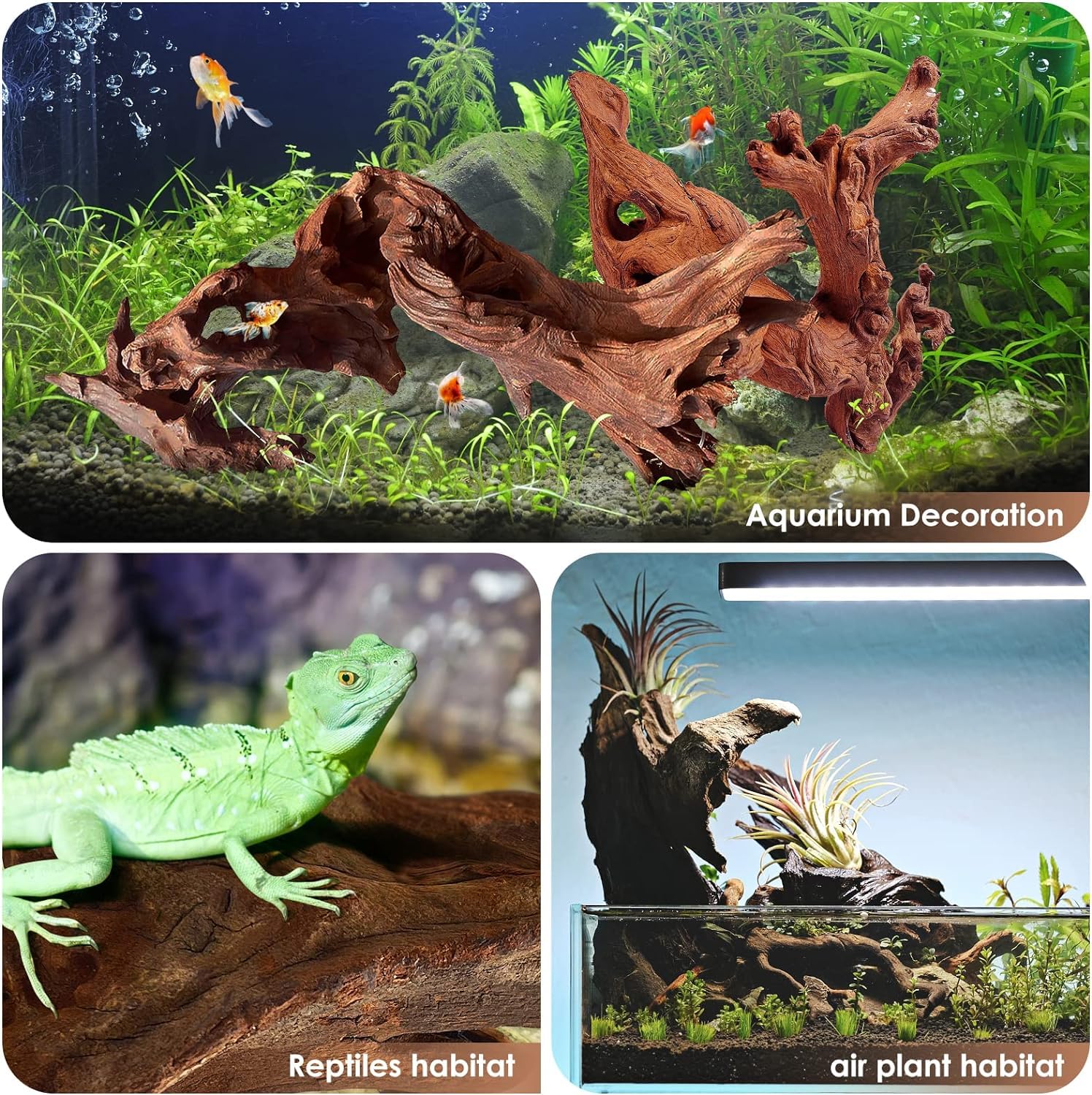 Jorewood driftwood: eau claire grâce à faible libération de tanins pour poissons et amphibiens.