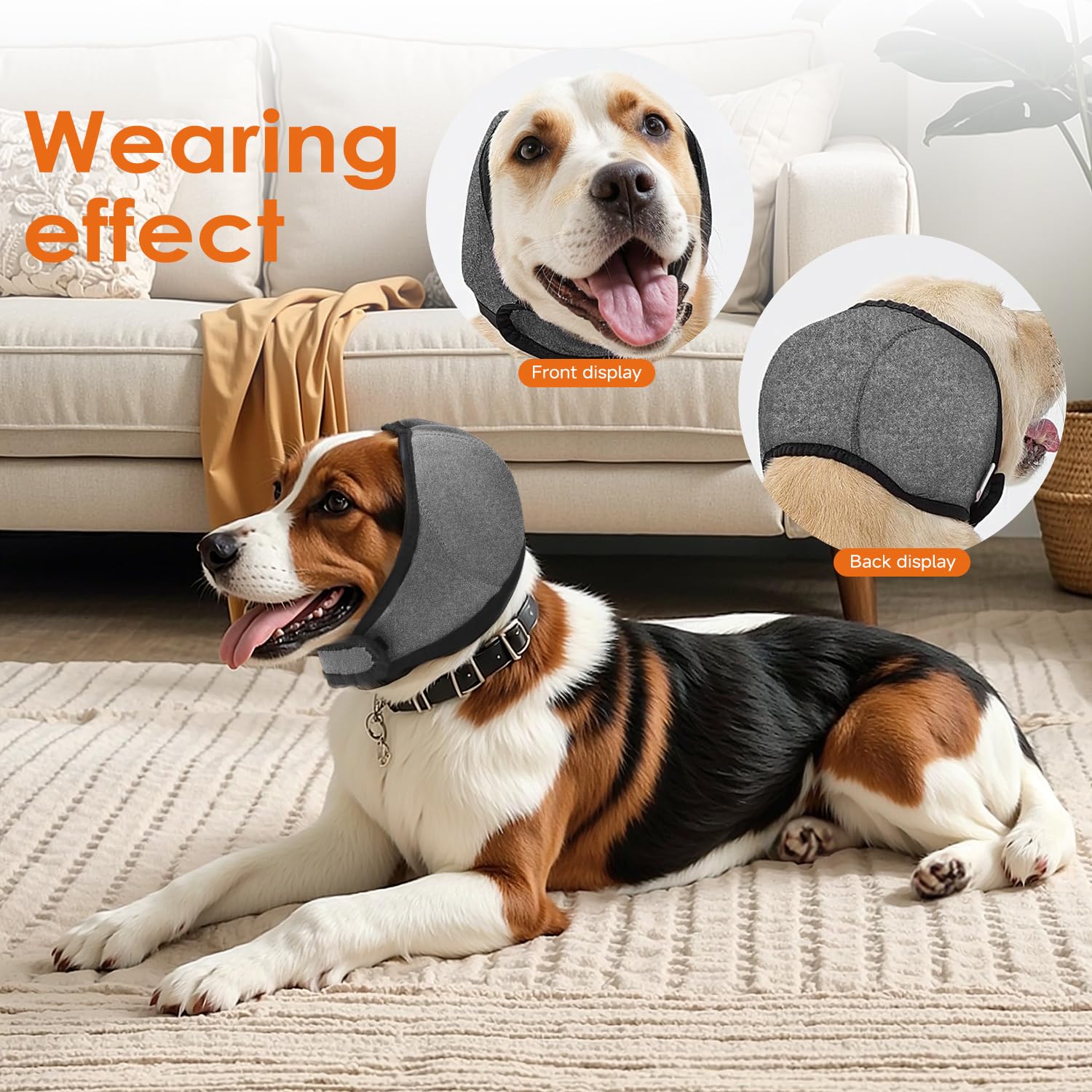 Jorme-oreilles-chien-hygiene-usage: aide à maintenir oreilles propres pendant les soins.