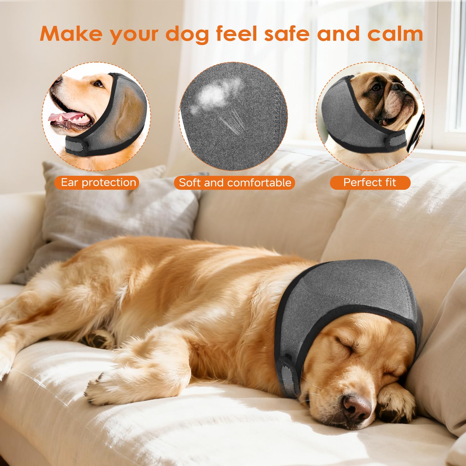 Jorme soin quotidien des oreilles pour chien gris grand durant le toilettage.
