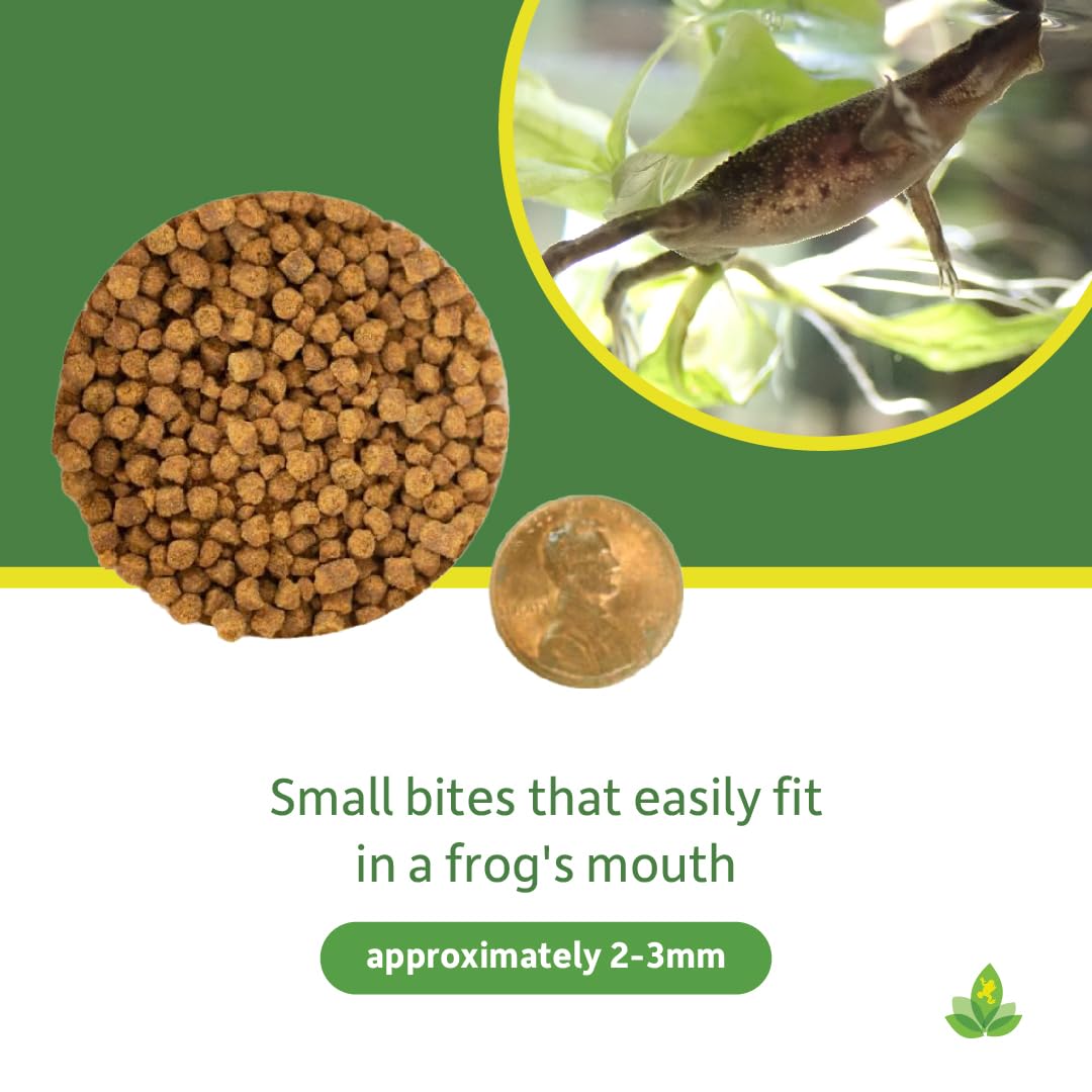 Josh's Frogs granulés pour grenouilles africaines naines, évitent la turbidité quand dosés correctement.