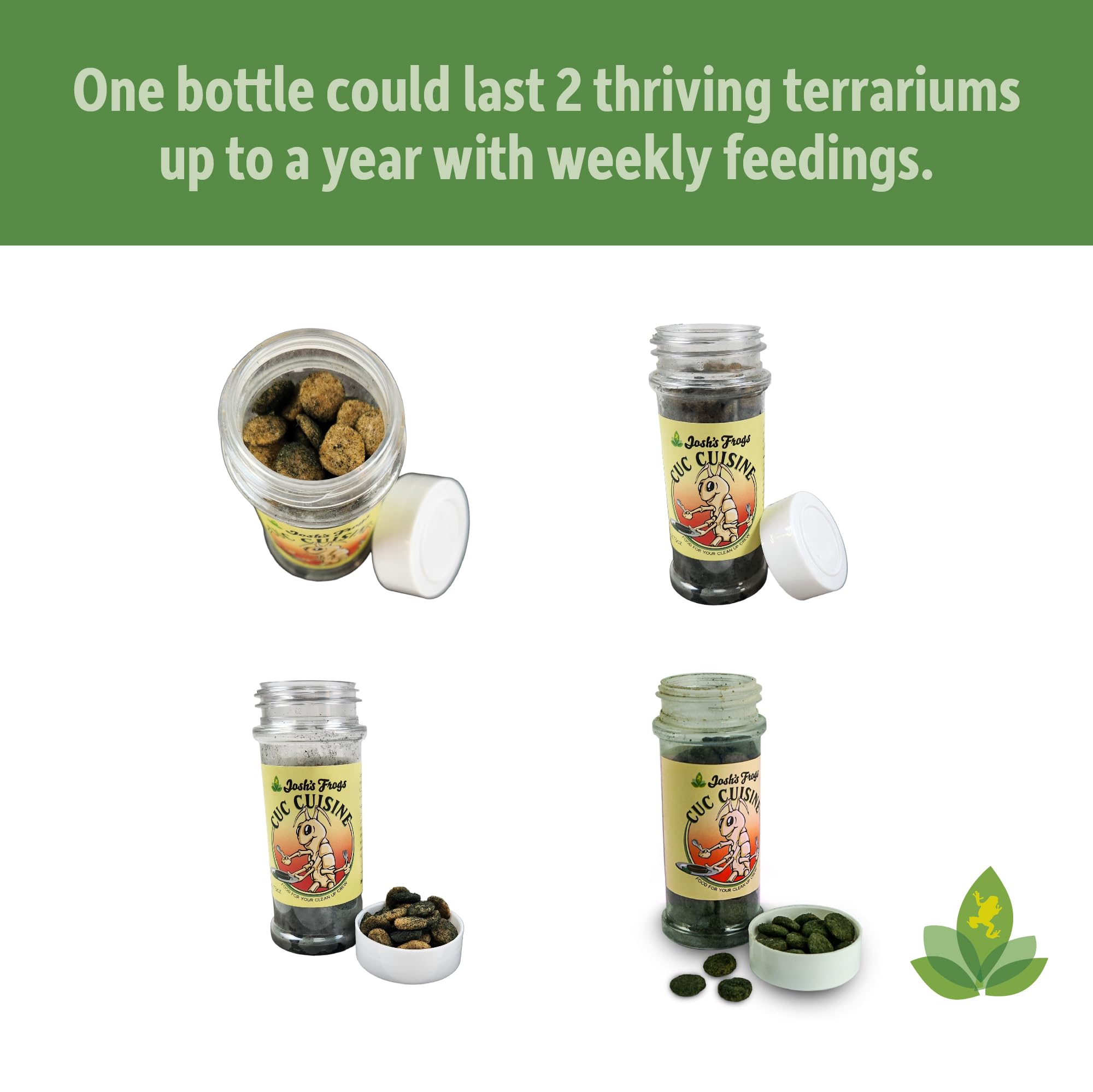 Josh's Frogs Clean Up Crew Cuisine station d'observation – vivarium en activité autour de la nourriture.
