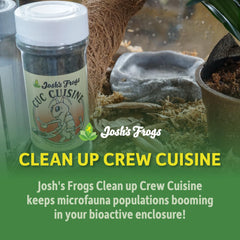 Josh's Frogs Clean Up Crew Cuisine station-alimentation – observation des microfaunes en action.