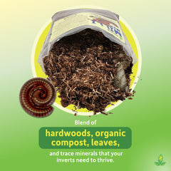 Josh's Frogs Milli Mix Humidité stable: niveau idéal pour l'habitat.
