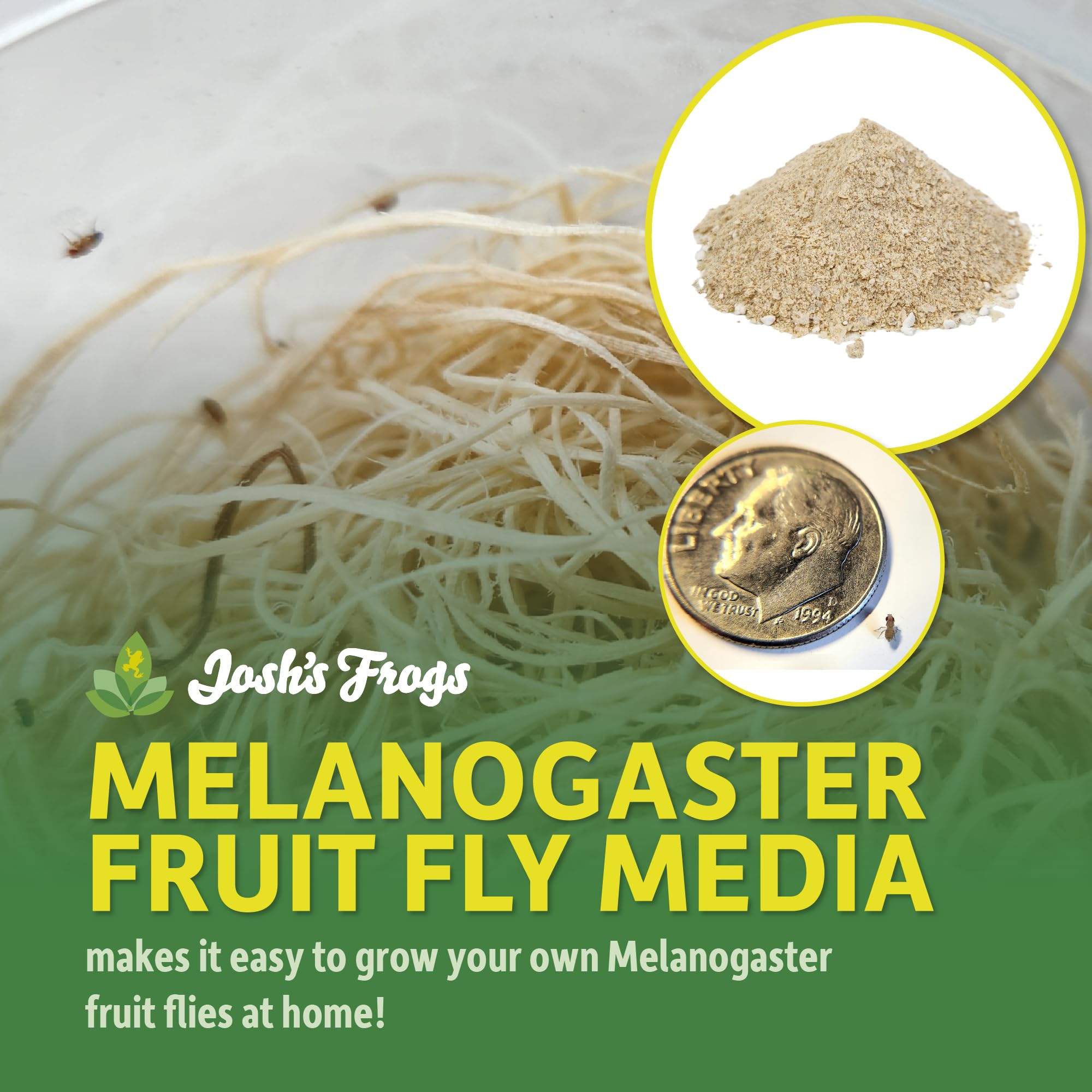 Josh's Frogs Melano Media – cultures-drosophiles prêt à démarrer rapidement