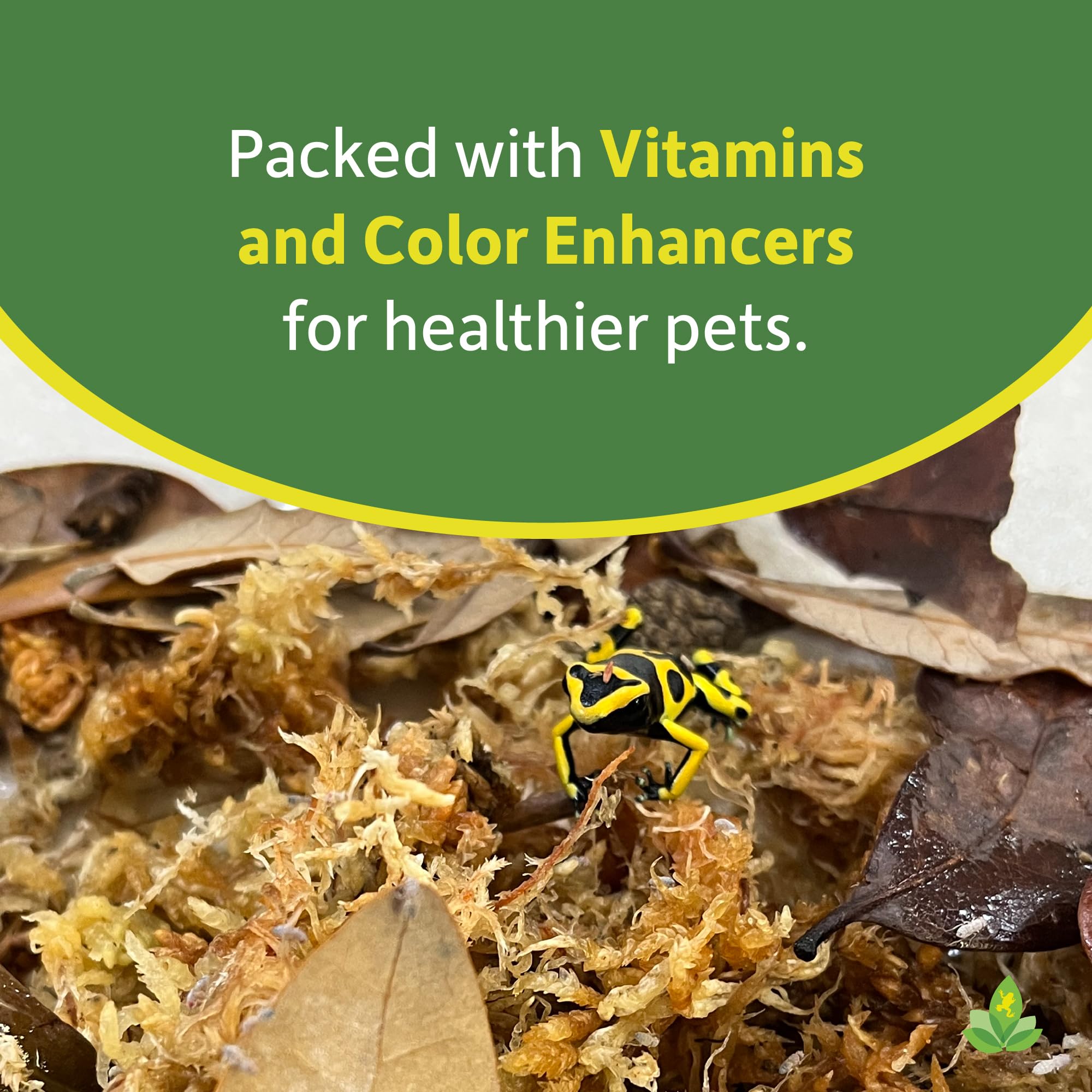Josh's Frogs Melano Media – vitamines et colorants améliorant l'apparence des drosophiles