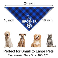 Bandana chien JOTFA accessoire photo bleu plaid.