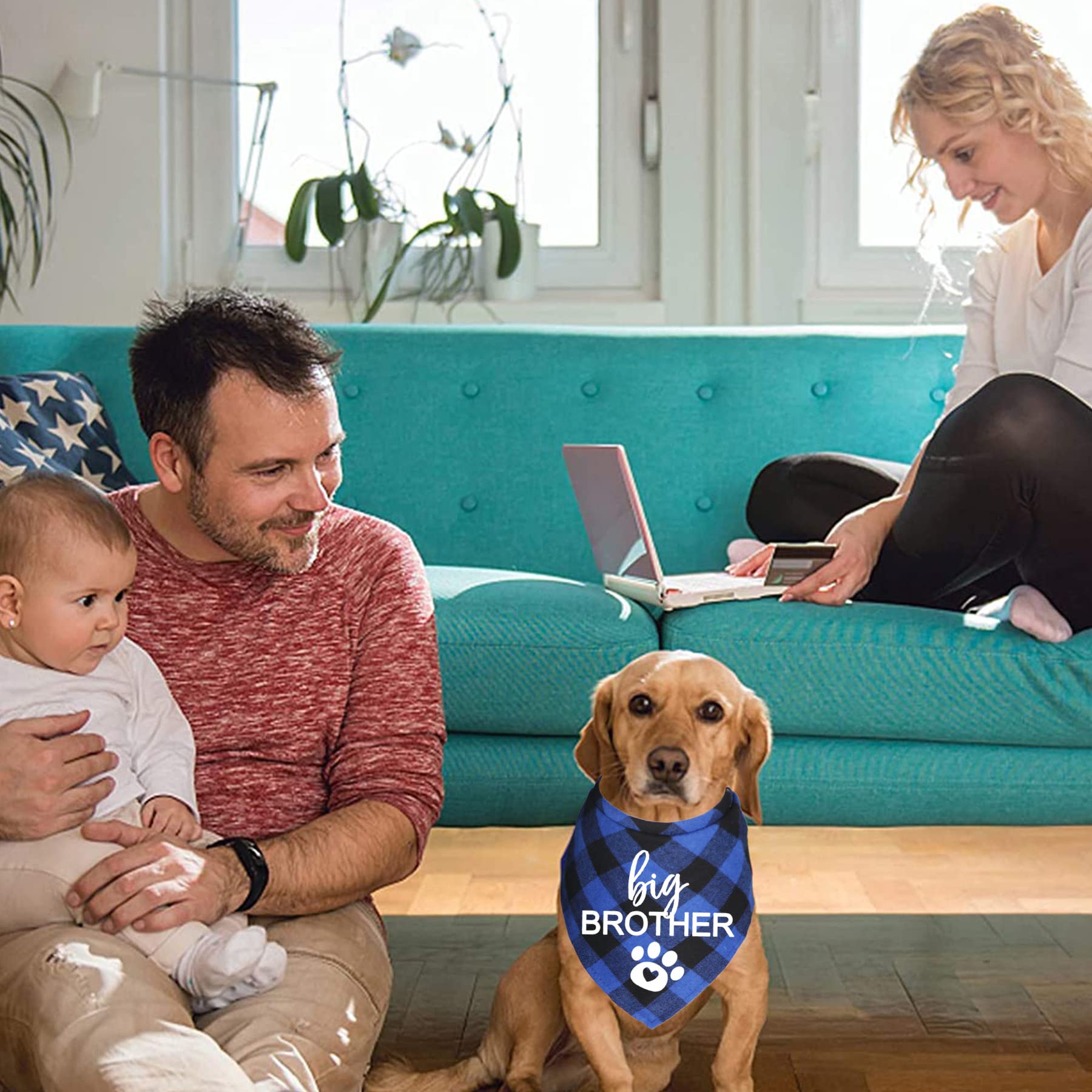 Bandana chien JOTFA annonce grossesse bleu plaid, coton doux.