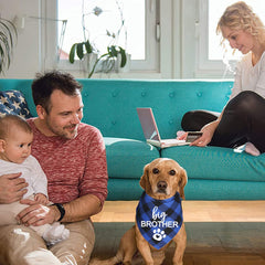Bandana chien JOTFA annonce grossesse bleu plaid, coton doux.