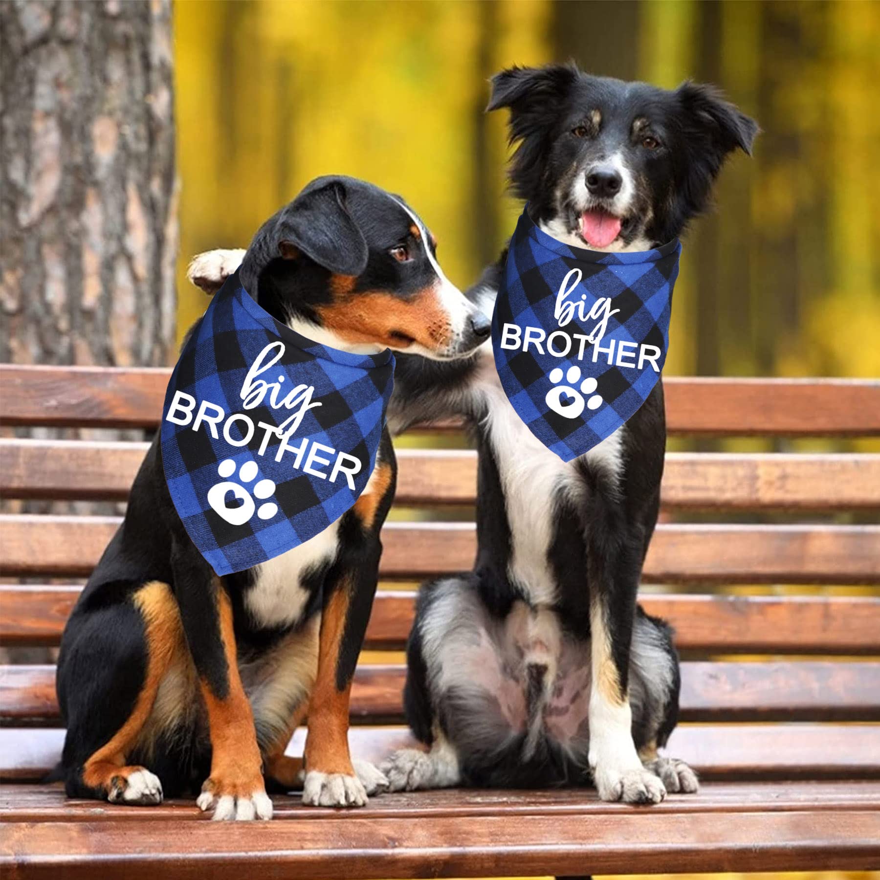 Bandana coton doux JOTFA bleu plaid pour chien.