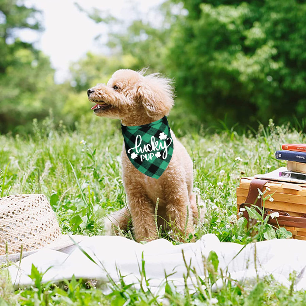 Accessoire facile à attacher, bandana Saint-Patrick JOTFA pour chien.
