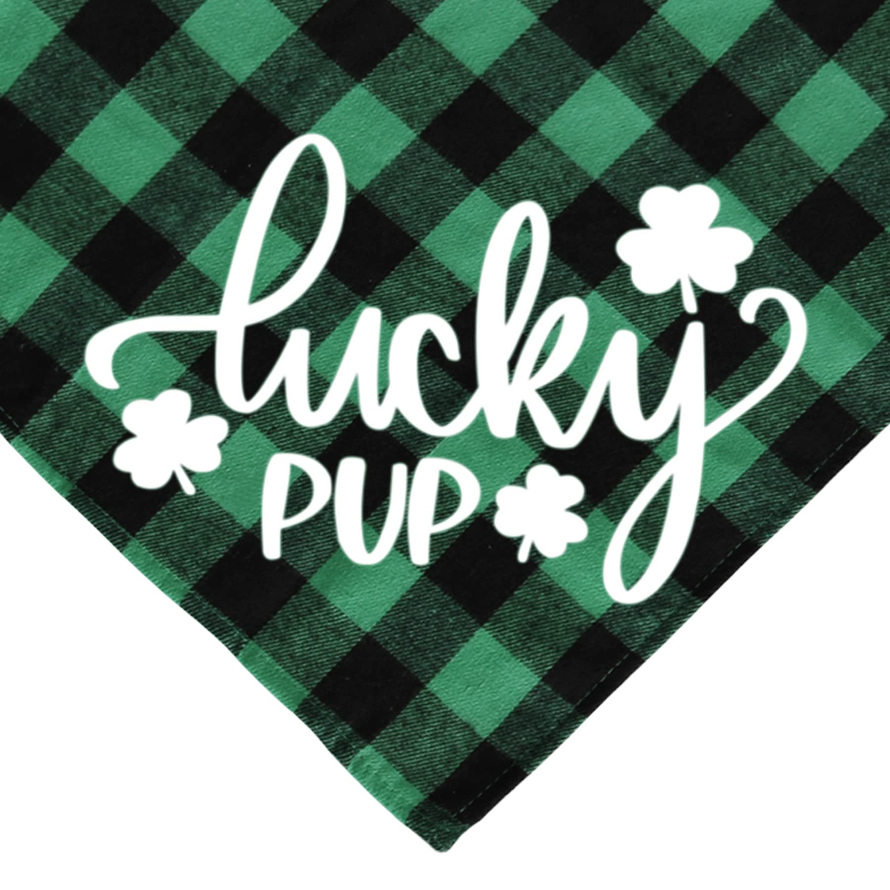 Bandana Saint-Patrick en pose photo, accessoire festif pour chien.