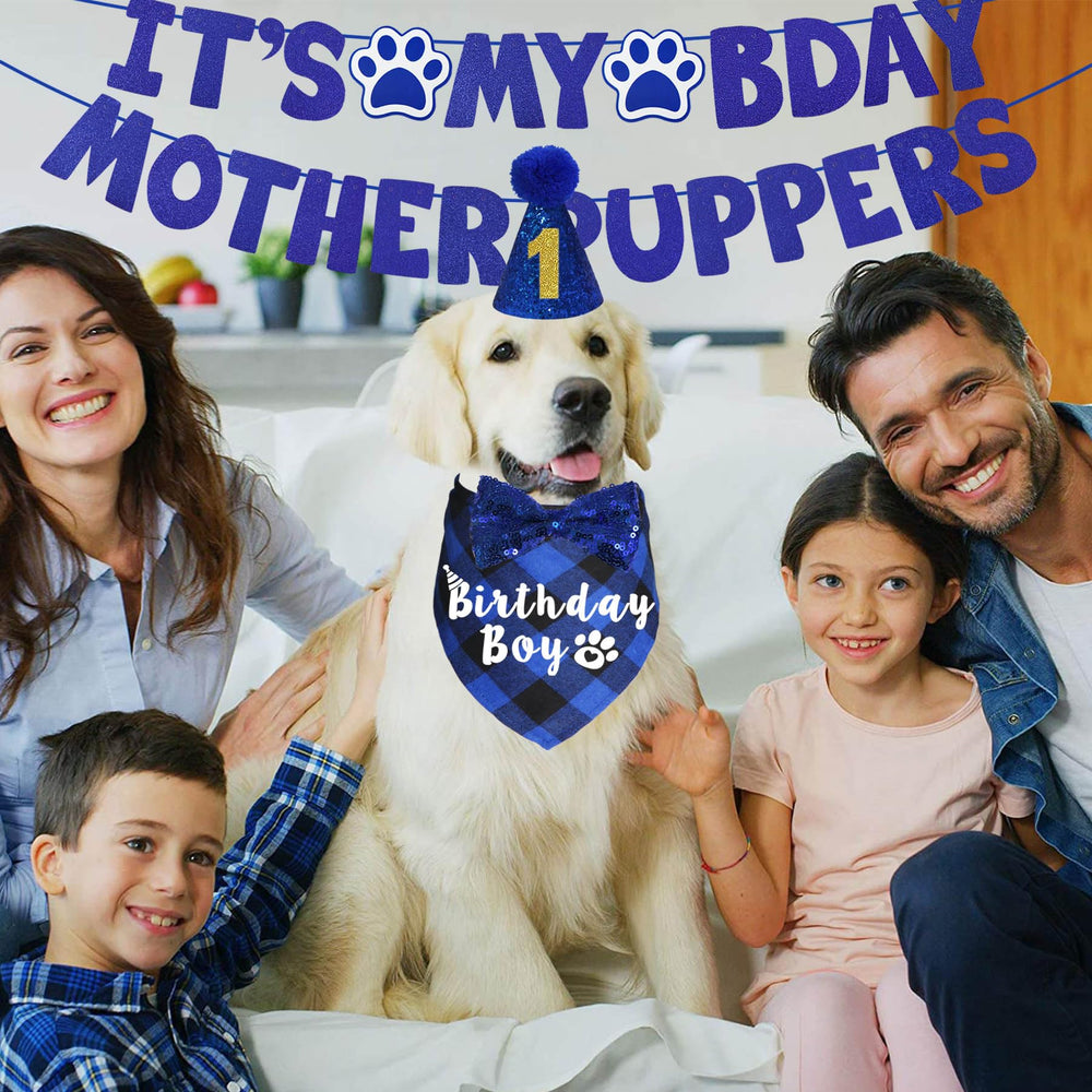 Chapeau anniversaire chien avec chiffres dorés, idéal pour des photos festives.
