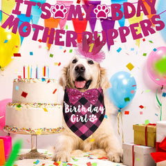 Chapeau anniversaire JOTFA pour chien, idéal pour des clichés mémorables.