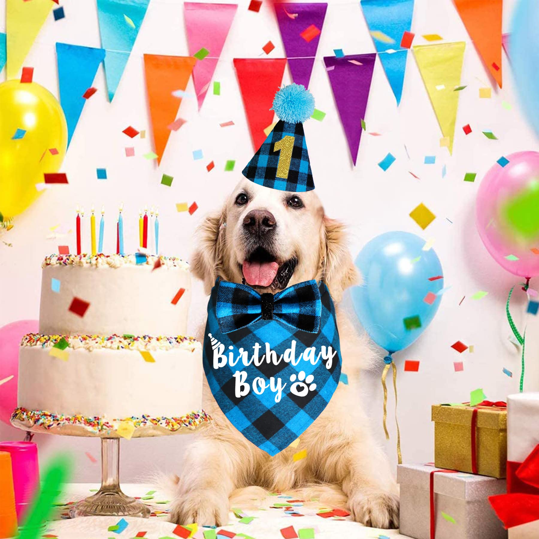 Chien portant ensemble JOTFA anniversaire plaid bleu, rendu parfait sur les photos.