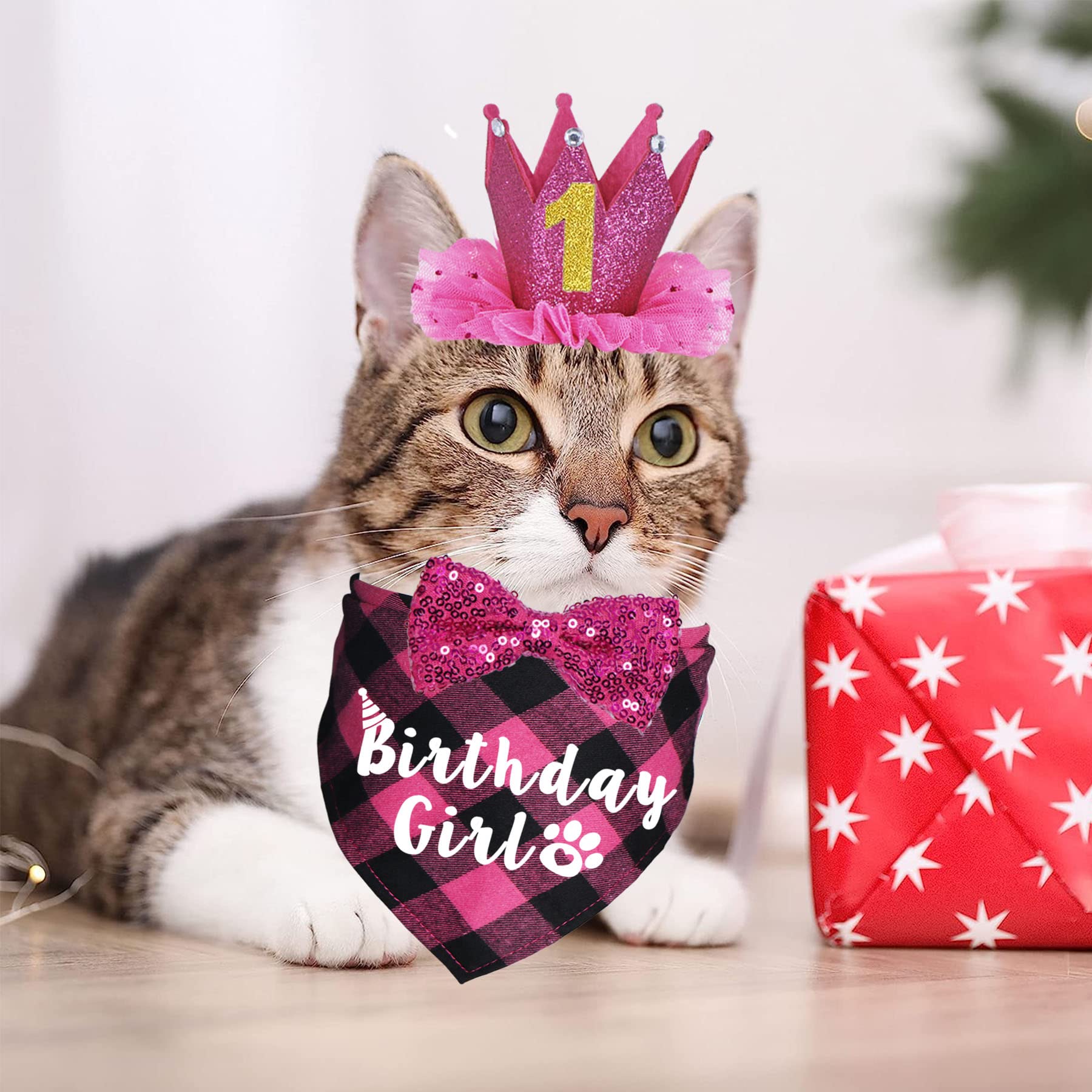 Couronne anniversaire JOTFA pour chat, résistance et stabilité du look.
