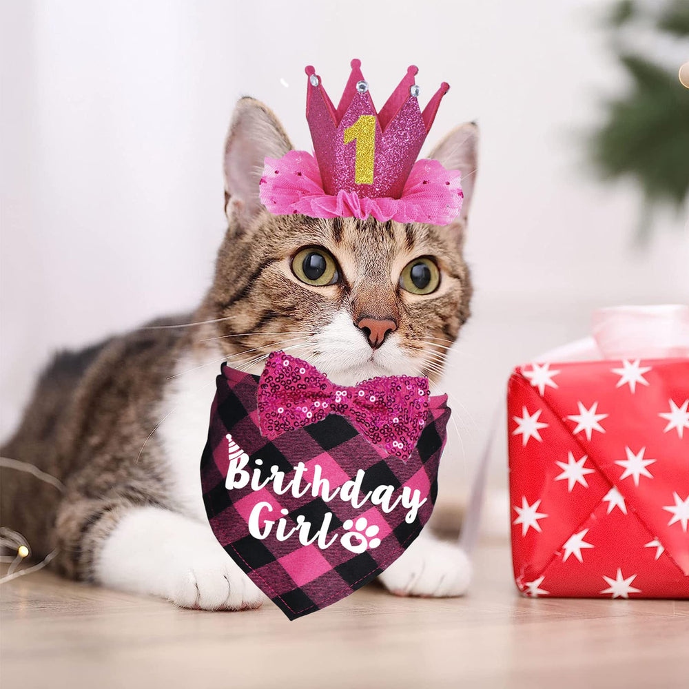 Couronne anniversaire JOTFA pour chat, résistance et stabilité du look.
