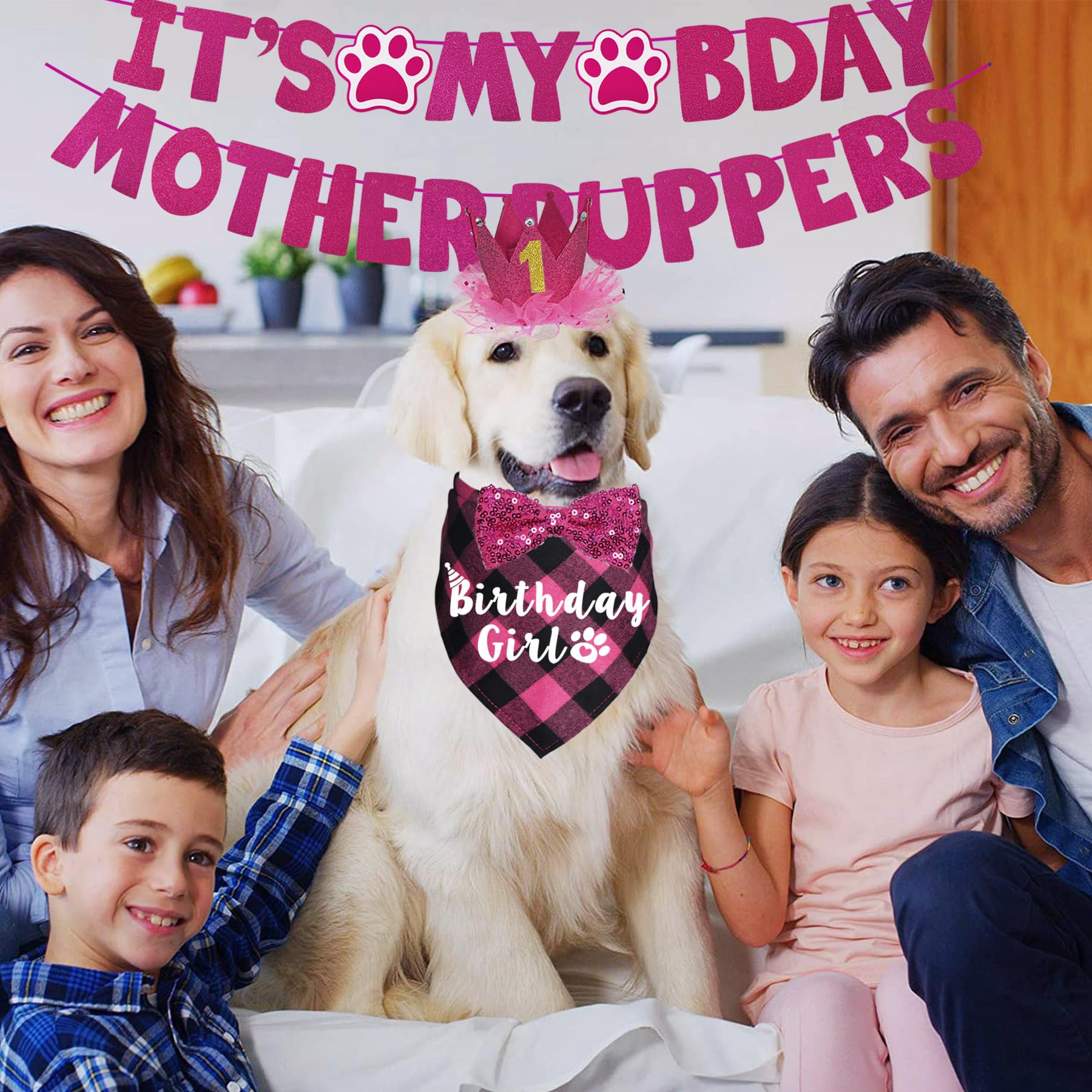 Ensemble accessoires anniversaire chien JOTFA rose, parfait pour habiller votre chien.