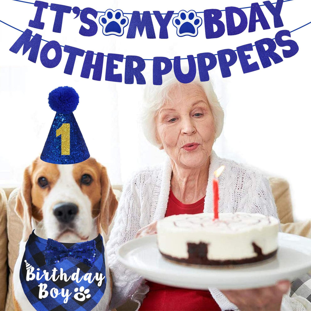 Ensemble d’accessoires anniversaire chien par JOTFA, prêt pour une fête réussie.