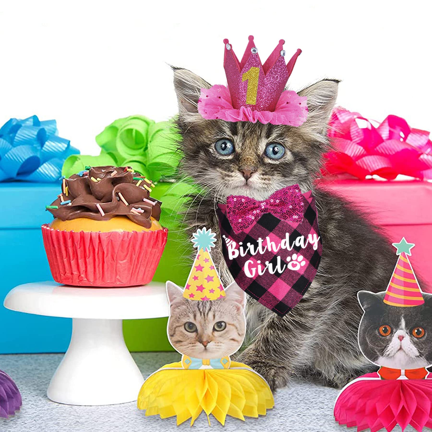 Kit d'accessoires chat JOTFA rose, ensemble prêt à l'emploi pour célébration.