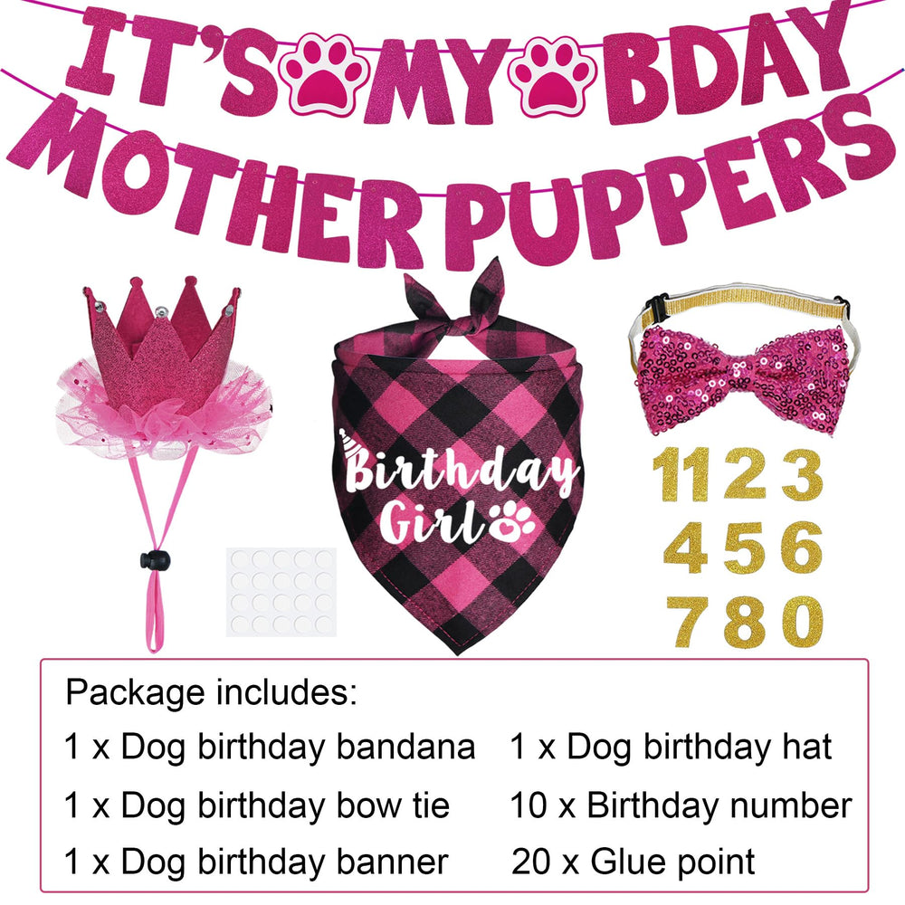 Noeud papillon anniversaire JOTFA pour chien, s’adapte à tous les cols.
