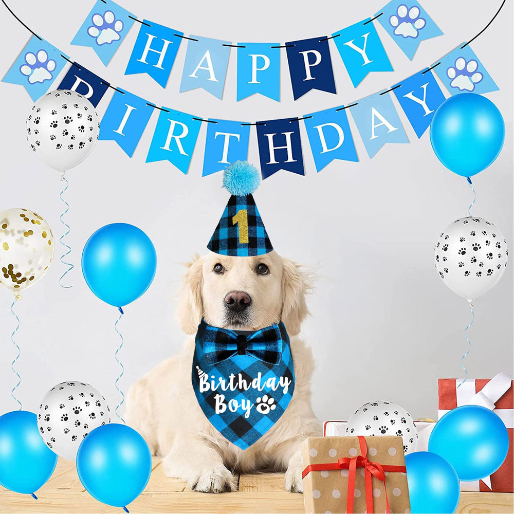 Ensemble accessoires JOTFA pour chien anniversaire, look coordonné et festif.
