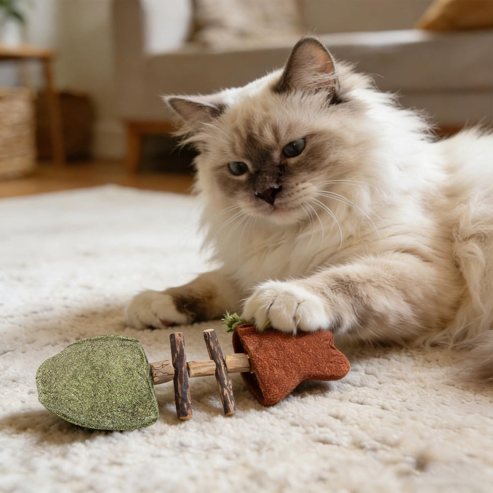Jouet dentaire naturel pour chat – senteurs variées pour stimulations